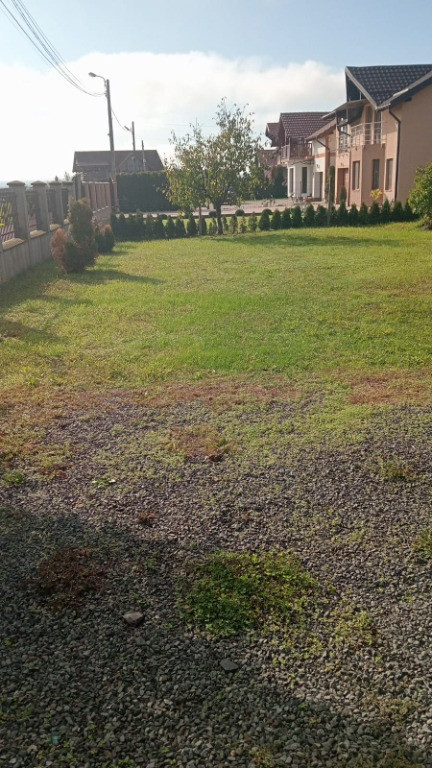 Sat Sasar, 6 ari teren