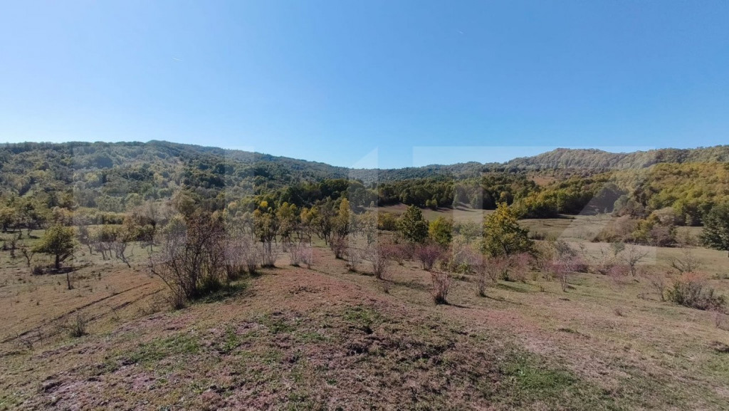 Teren extravilan cu priveliște superba , livadă și poten?