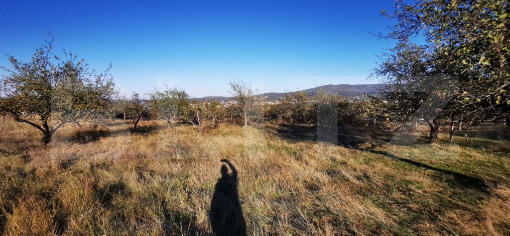 Teren intravilan zonă centrală livada SCPP