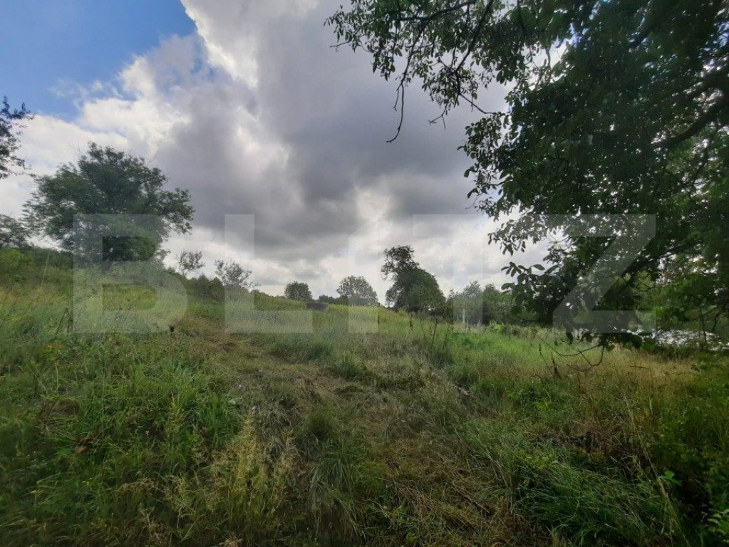 Anexa cu teren 5000mp, langa padure, Dobrovat