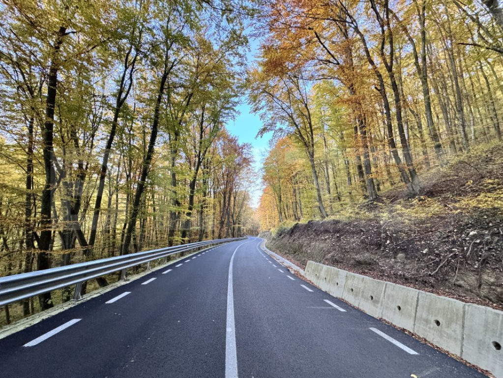 Teren de vanzare la drum asfaltat Ramet