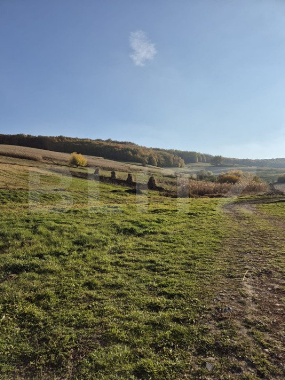 Teren intravilan de vanzare in Bardesti