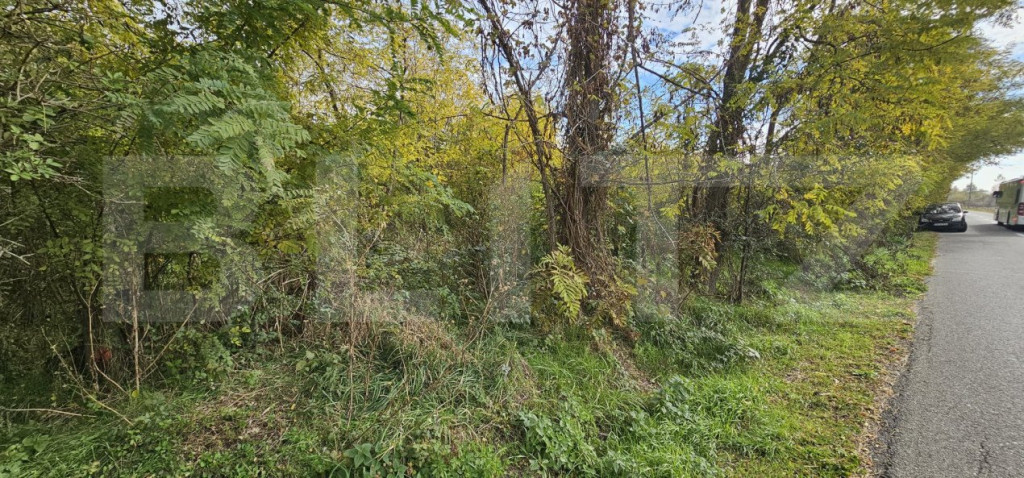 Teren intravilan in Comuna Razvad 1950mp cu acces la princip