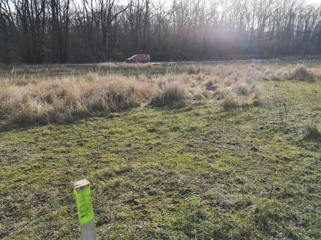 Teren Sisesti 1000 Mp Drumul Stegarului New 2025