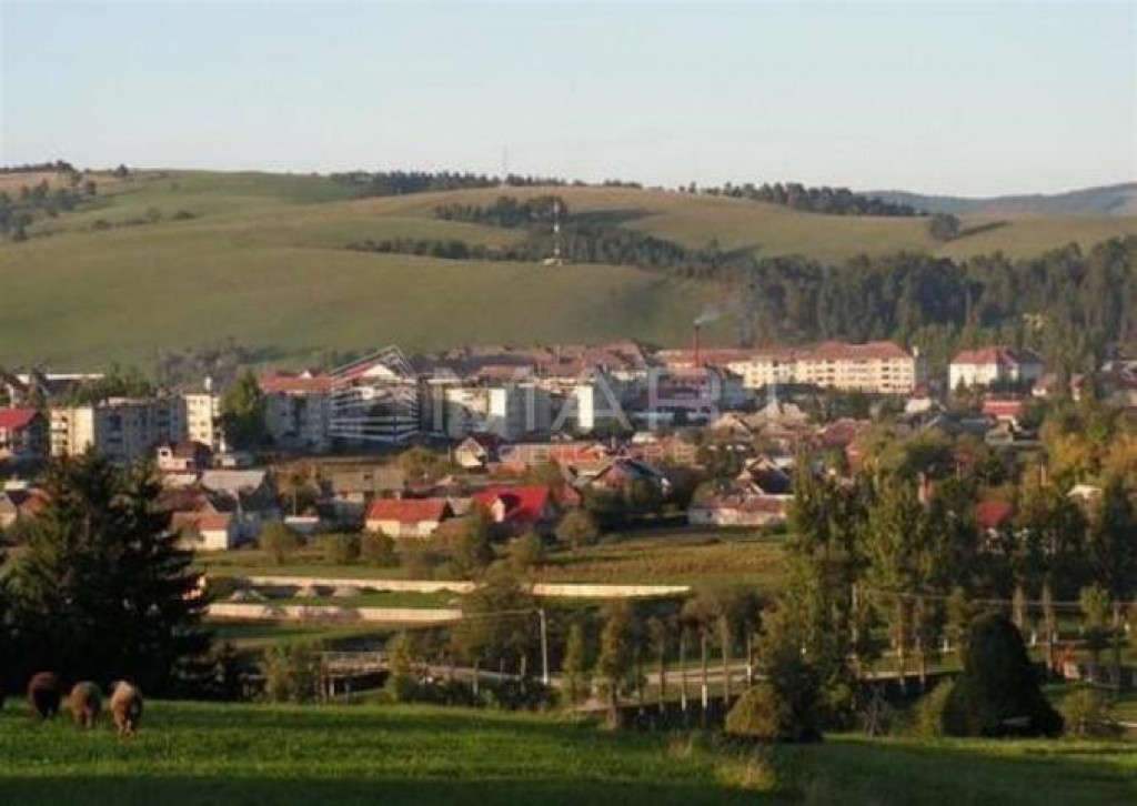 Teren 4800 mp in Intorsura Buzaului