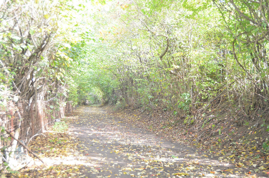Teren intravilan situat in judetul Brasov,Schei