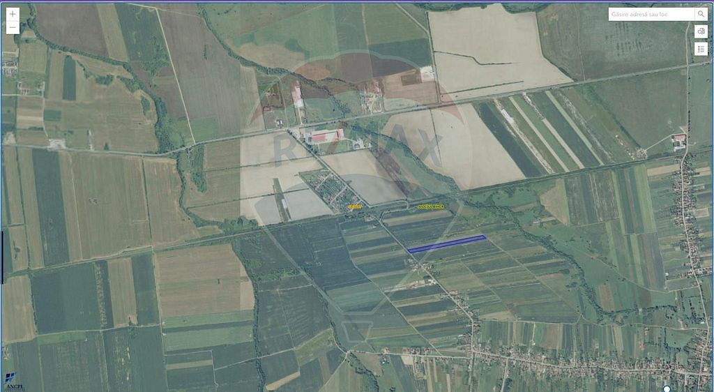 Teren Sacadat, Bihor / Strada Principala