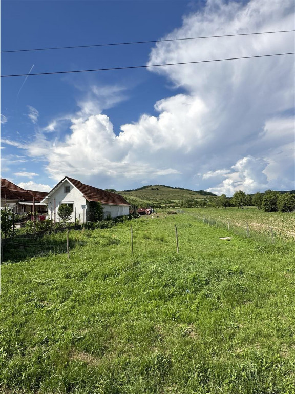 RECO Teren Intravilan, Uileacu de Cris