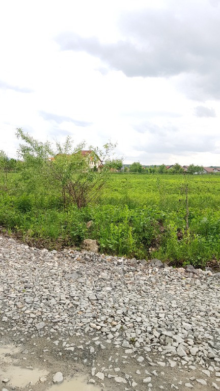 Satu Nou de Jos, 10 ari teren