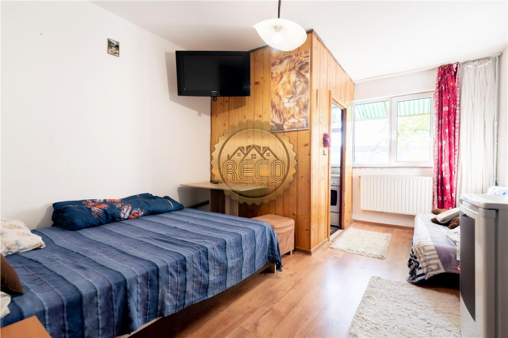 Garsoniera 21 MP Corneliu Coposu Rogerius