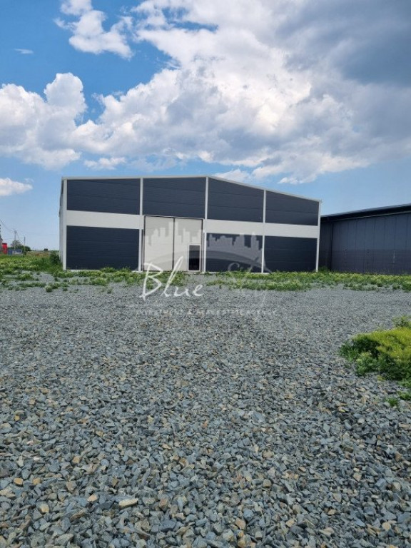 Eurohala 589 mp si curte 600 mp situata in Poarta Alba