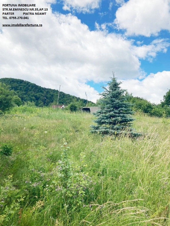 Teren Alexandru cel Bun