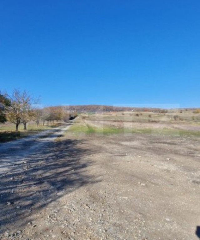 Teren Dambul Rotund extravilan, 6 parcele, 2850 mp, asfalt,