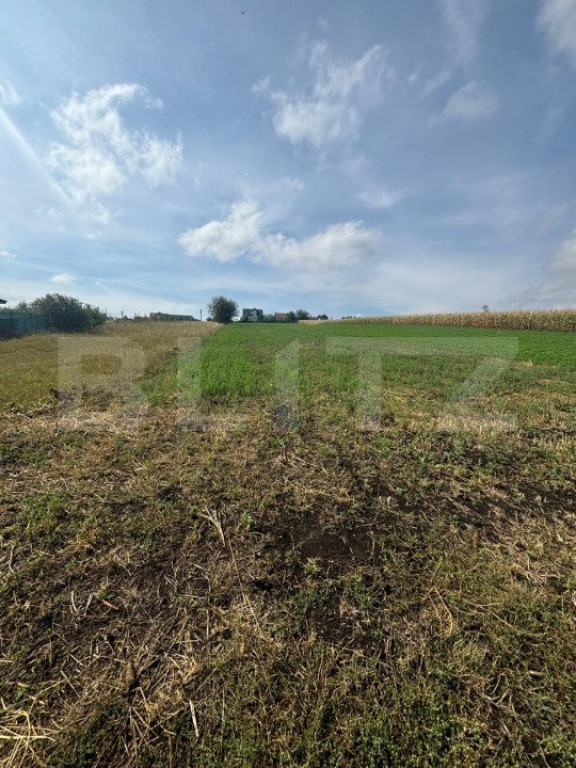 Teren intravilan 3943 mp, front 49,49 m, Radaseni