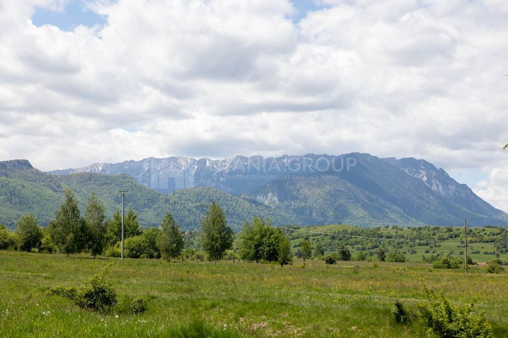 REZERVAT - Teren intravilan 1989 mp, Bran SohodolCOMISION 0