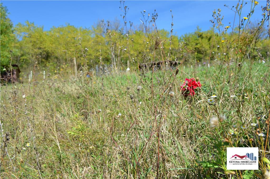 Teren Ideal pentru Casa cu Autorizatie de Zona Livezeni