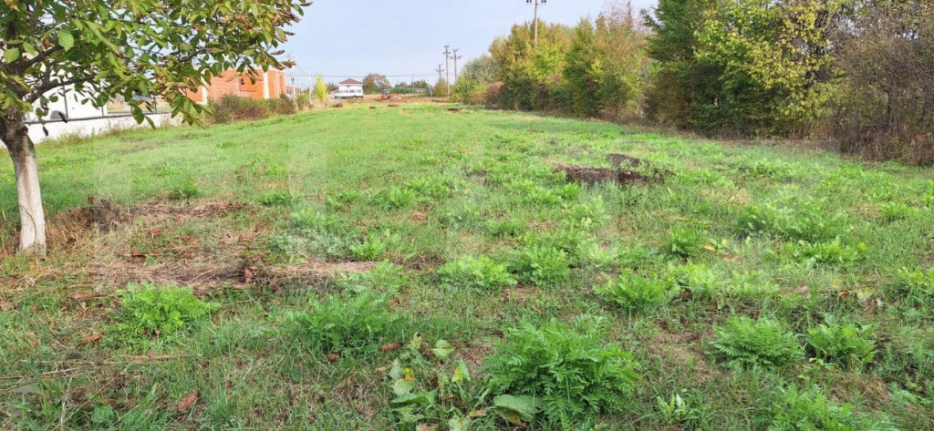 Teren Intravilan, sat Martinesti comuna Odoreu