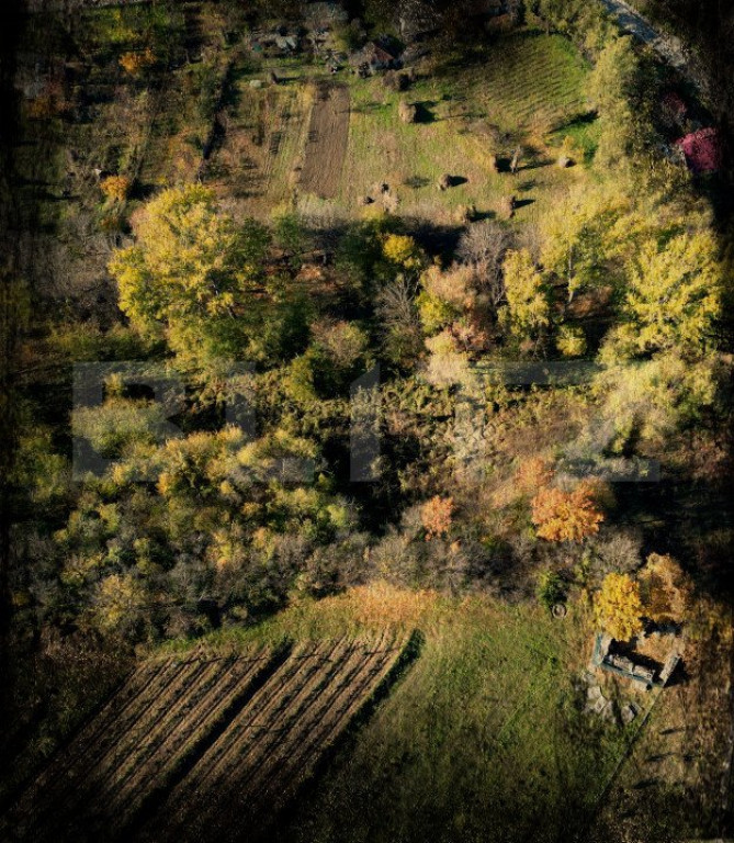 Teren intravilan 2344 mp, din care cale de acces de 289 mp,