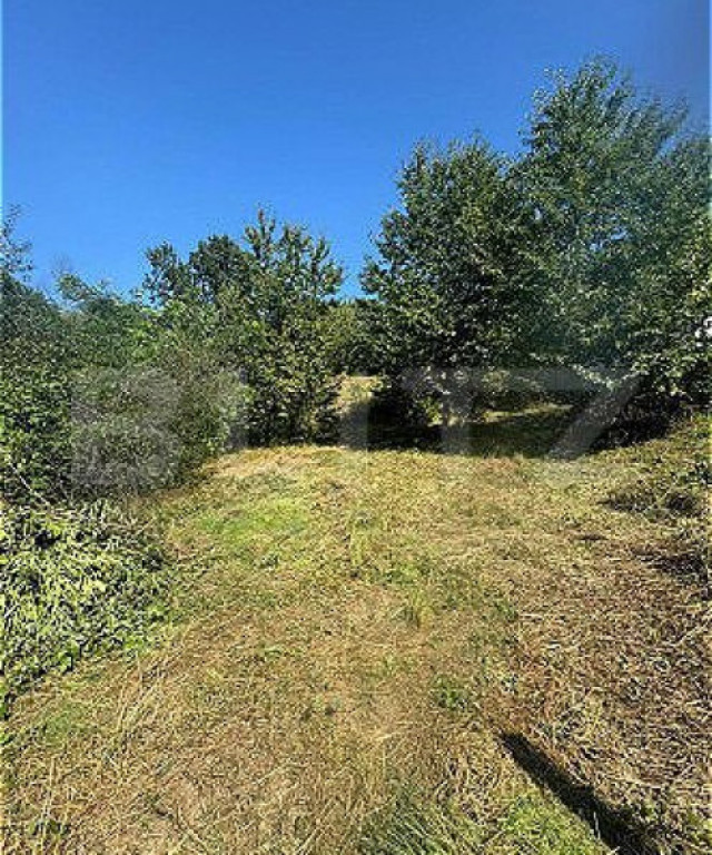 Oportunitate Rară! Teren Intravilan 1010 mp, Barnova la str