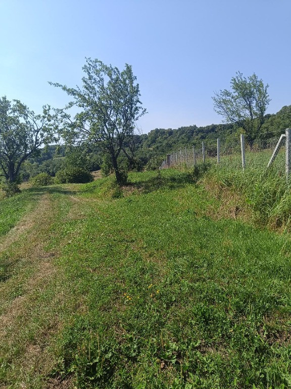 Teren 1000 mp Valea Ghinzii