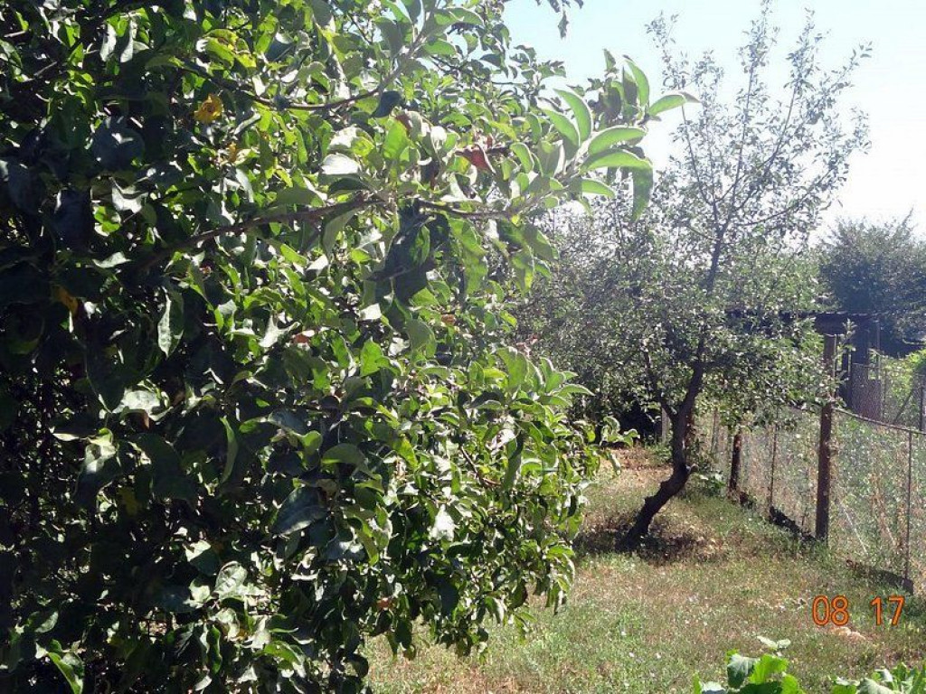 De vanzare - casa cu 4 camere, 900 mp teren - str. Razboi...