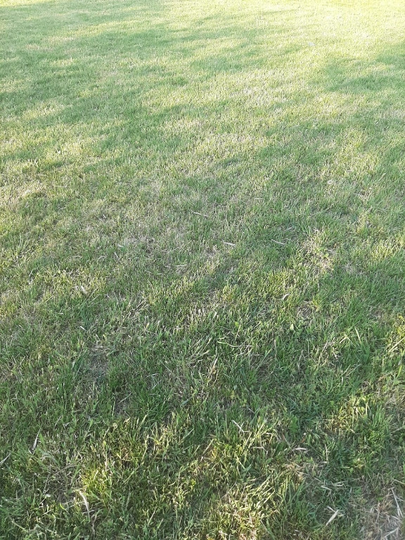 Teren intravilan 2000mp