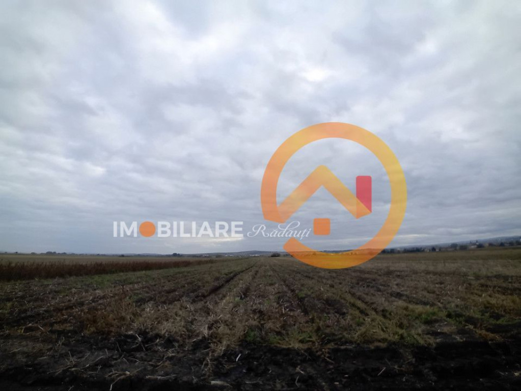 TEREN | Radauti | 6.000 mp | 62.800 EURO