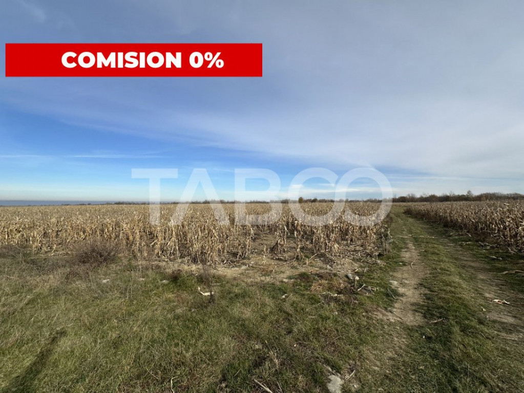 Teren intravilan 3500 mp cu utilitati in apropiere pe Valea