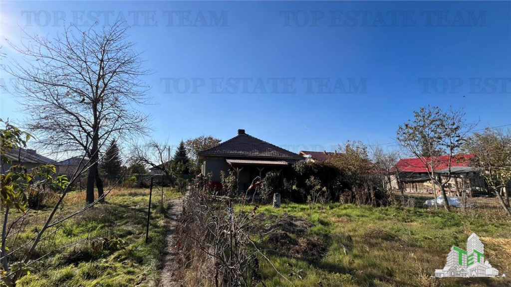 Oportunitate - Casa traditionala/Casa de vacanta