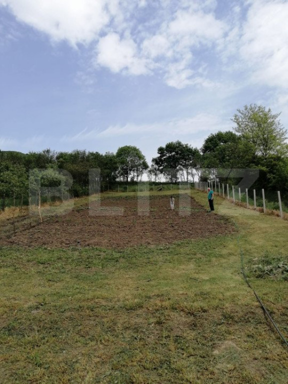 Casa renovabila, 1508 mp teren, Vultureni