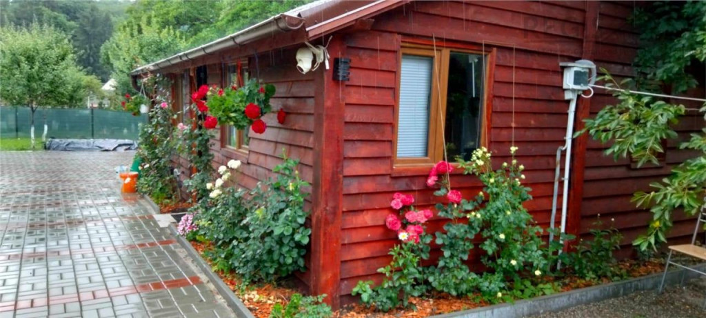 Casa si teren in zona Zizin Comison standard