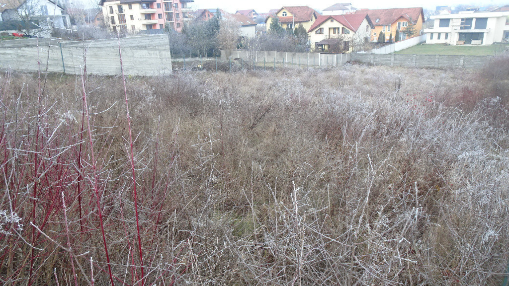 2 parcele de teren in Zavoi, str. Brandusei, 1440 mp, asfalt