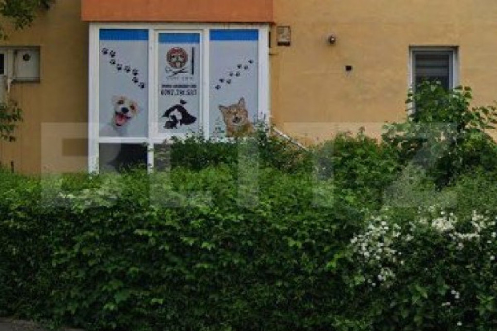 Spațiu comercial pentru investiție, 50 mp, zona Gării