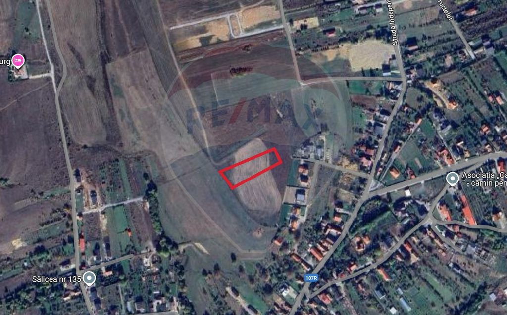 Teren intravilan de vanzare in Salicea, 3000 MP