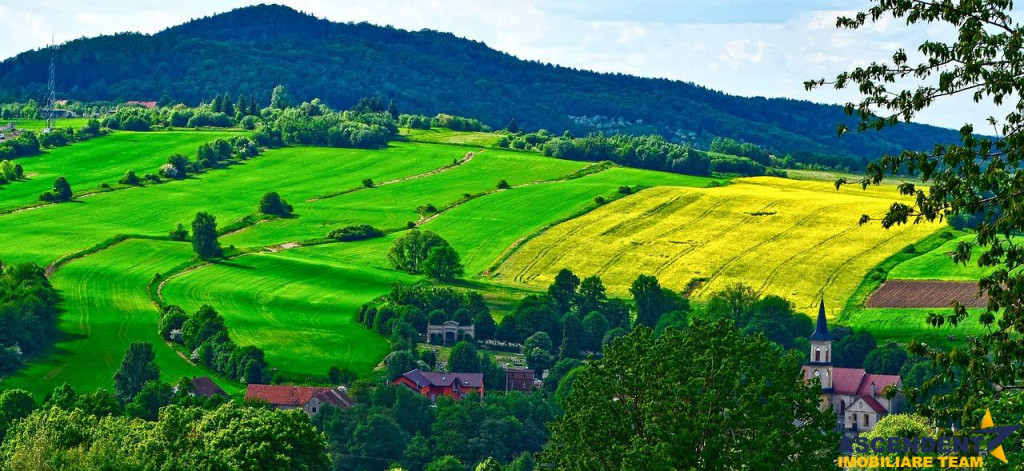 Domeniu de 6.000 mp, configuratie apreciabila, Dobarlau, Cov