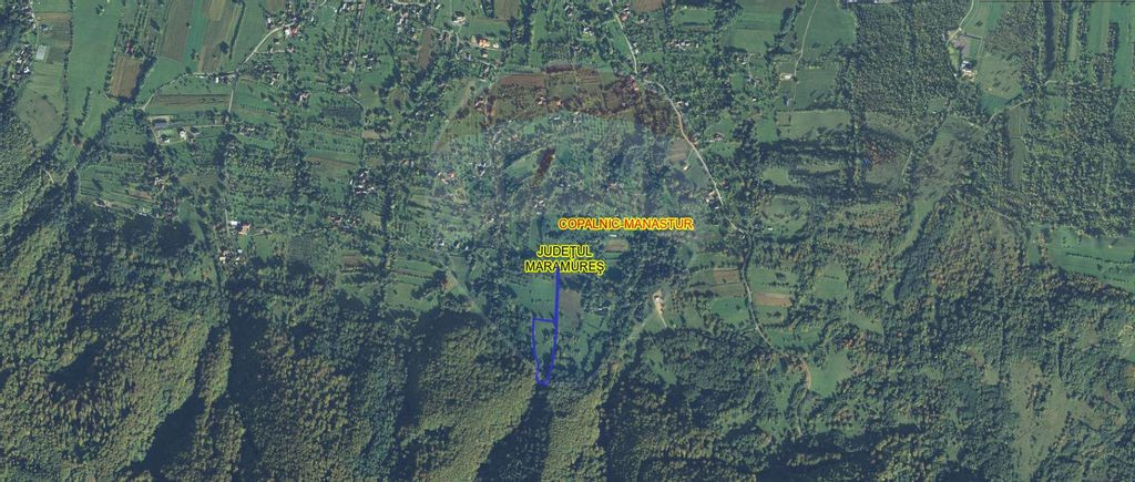 Teren intravilan de vanzare in Copalnic-Manastur / Strada...