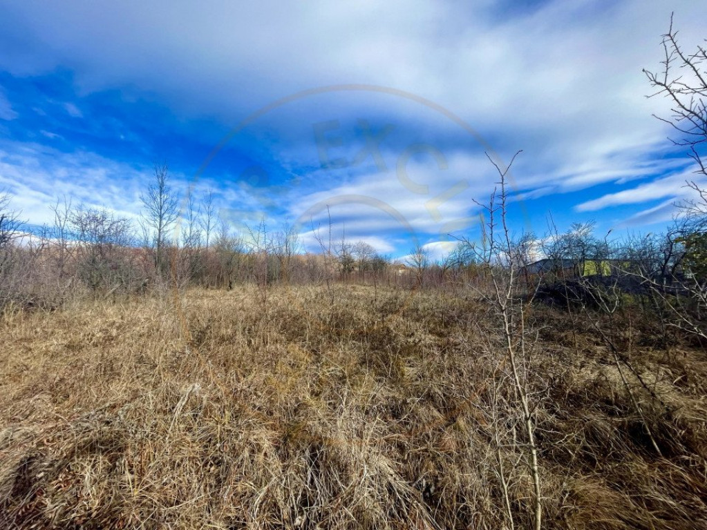 Teren Generos în Cornu de Jos, 2879 mp, Prahova – Oportun