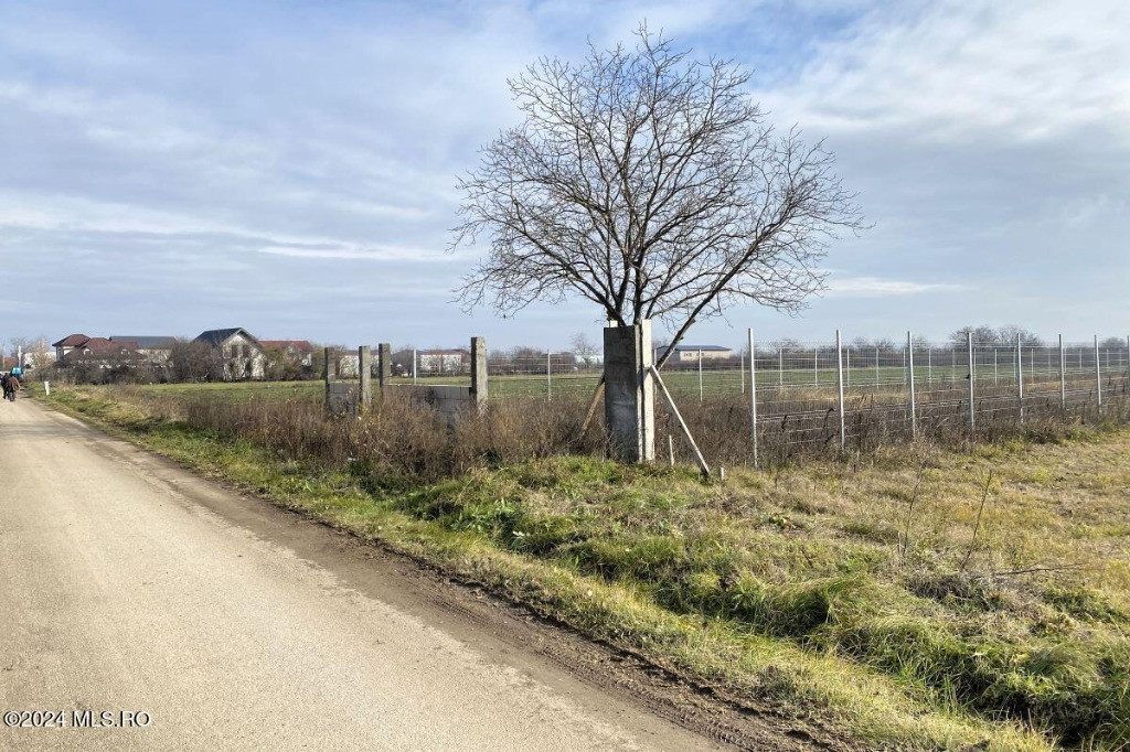 Afumati - Str. Iasomiei, 2409 MP, stradal, intravilan, deschidere 12 m