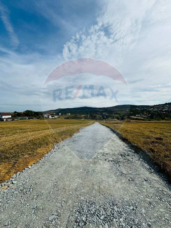 Teren intravilan de vanzare in Salicea! 1100 MP