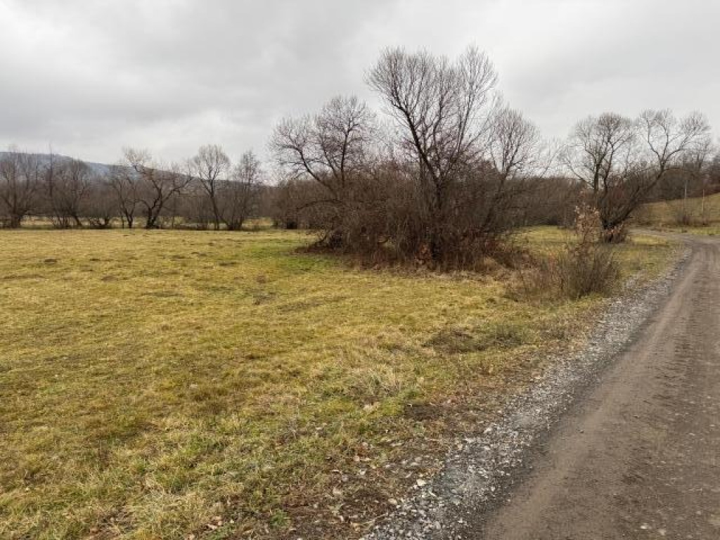 Teren de vanzare, Brasov,Sinca Noua,deschidere 22ml, 5490 mp, 5euro/mp