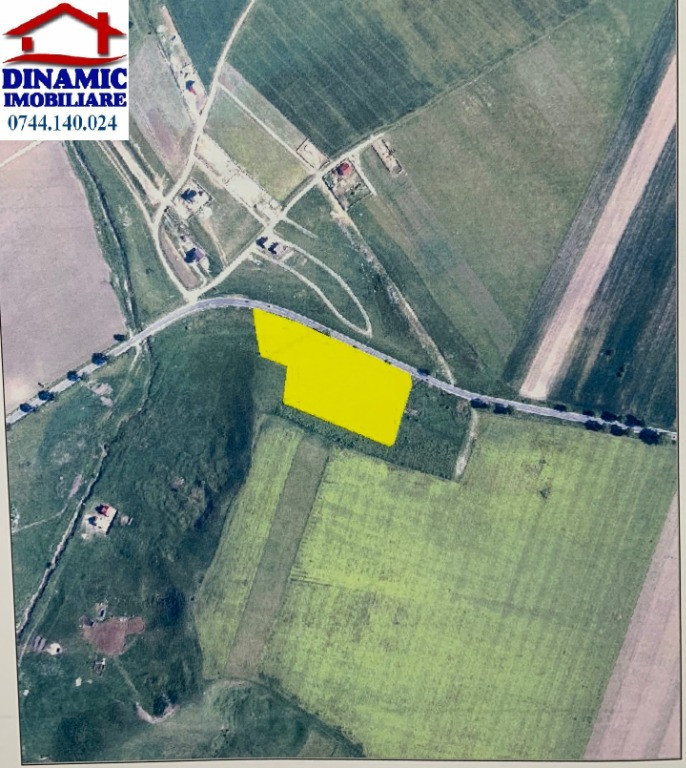 20.000 mp Turtureşti (500 m de Cybernet). Preț 5 eur/ mp