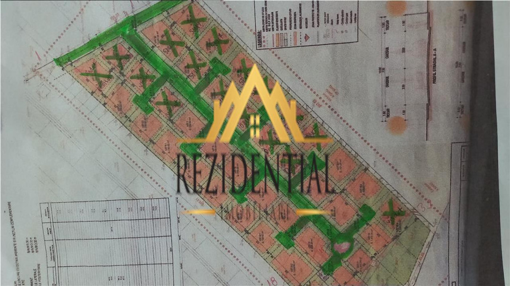 LOTURI PENTRU CASE - LEBADA