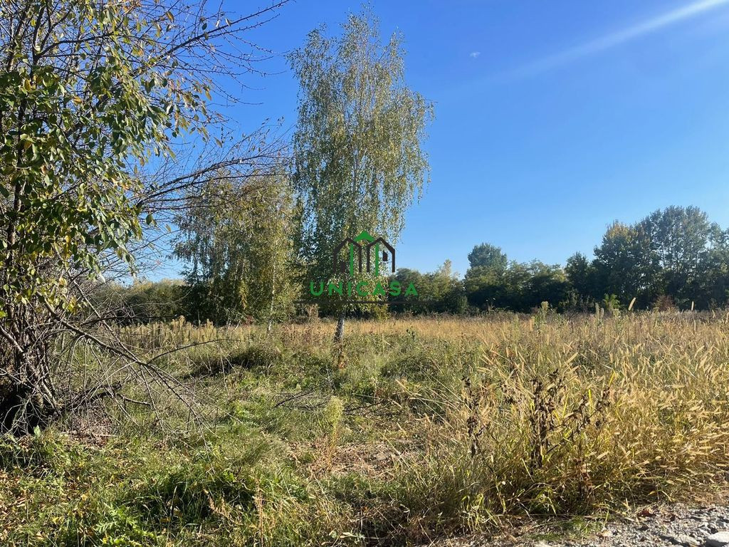 Teren Intravilan - Bujoreni - Lazaresti