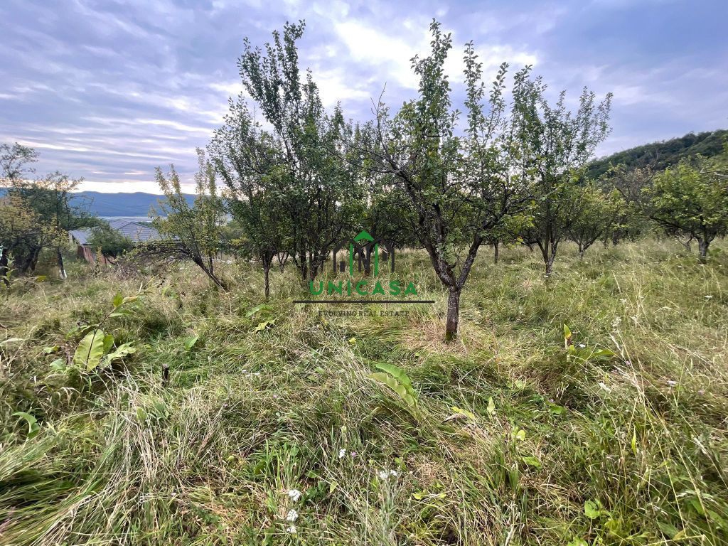 Teren intravilan - Cetatuie