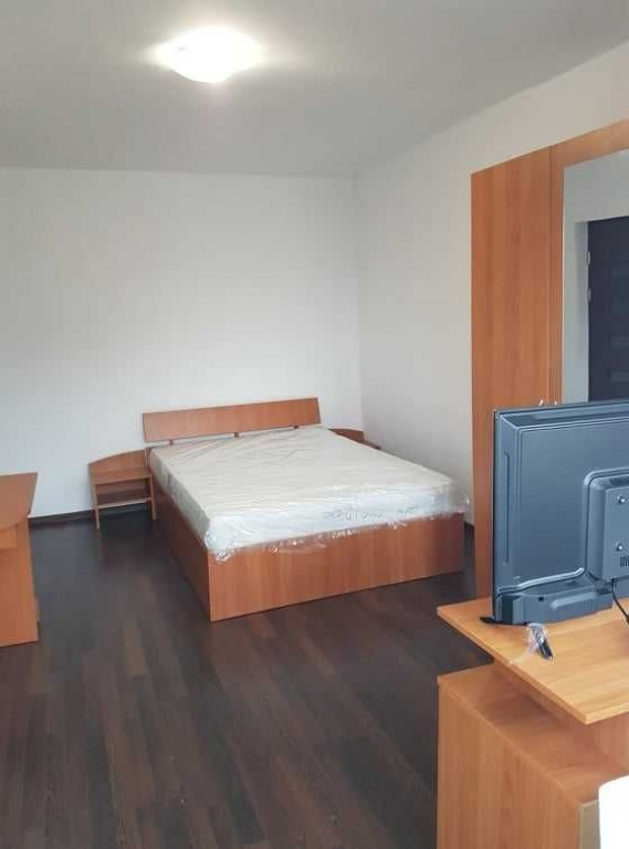 Apartament cu o camera in zona Dambovita