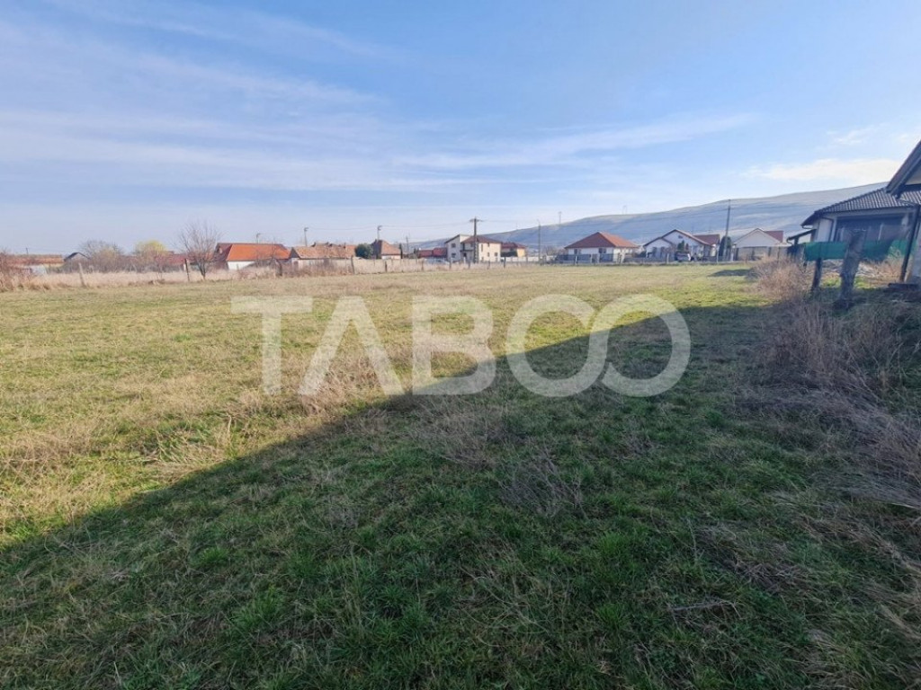 Teren intravilan 2455 mp de vanzare In Petresti, judetul Alb