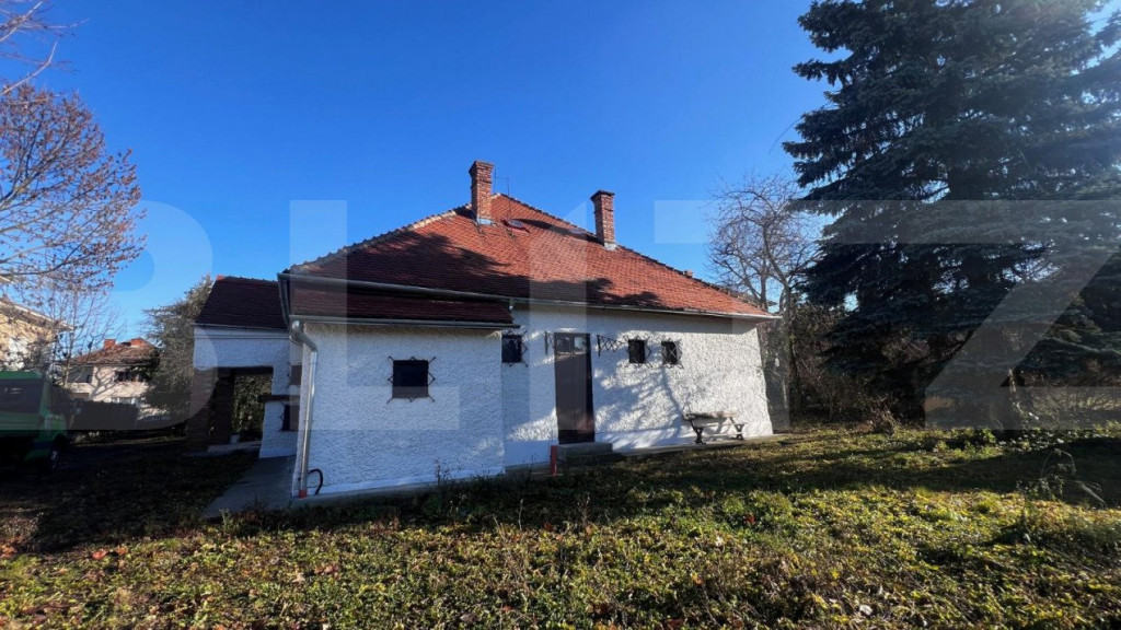 Comoara in stil transilvanean, spatiu comercial, 225mp, Cent