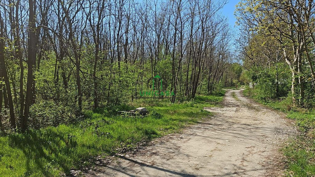 Teren/Padure - Dem Radulescu