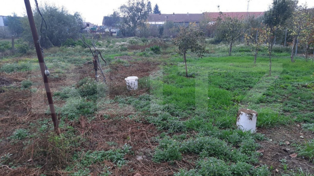 Teren mare, intravilan, 2022 mp, cu o casa, in Sacalaz