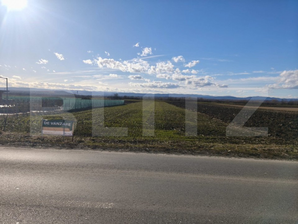 Teren intravilan ,4900 mp , 25ml front, Fratautii Vechi, Rad